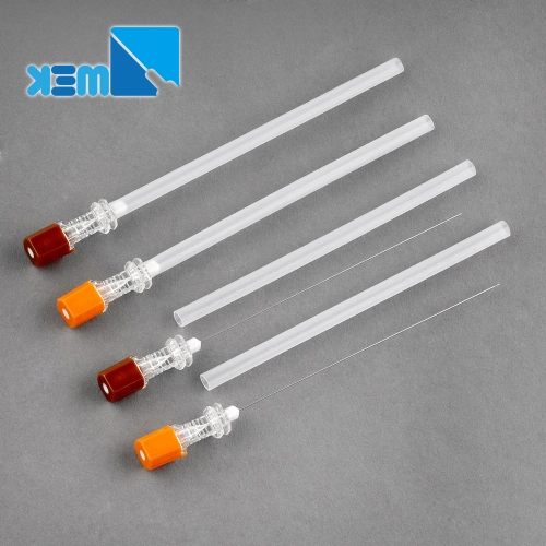 Lumbar Puncture Anaesthesia Pencil Point Quincke Tip Spinal Needle with Introducer CE ISO FDA510K Mdsap