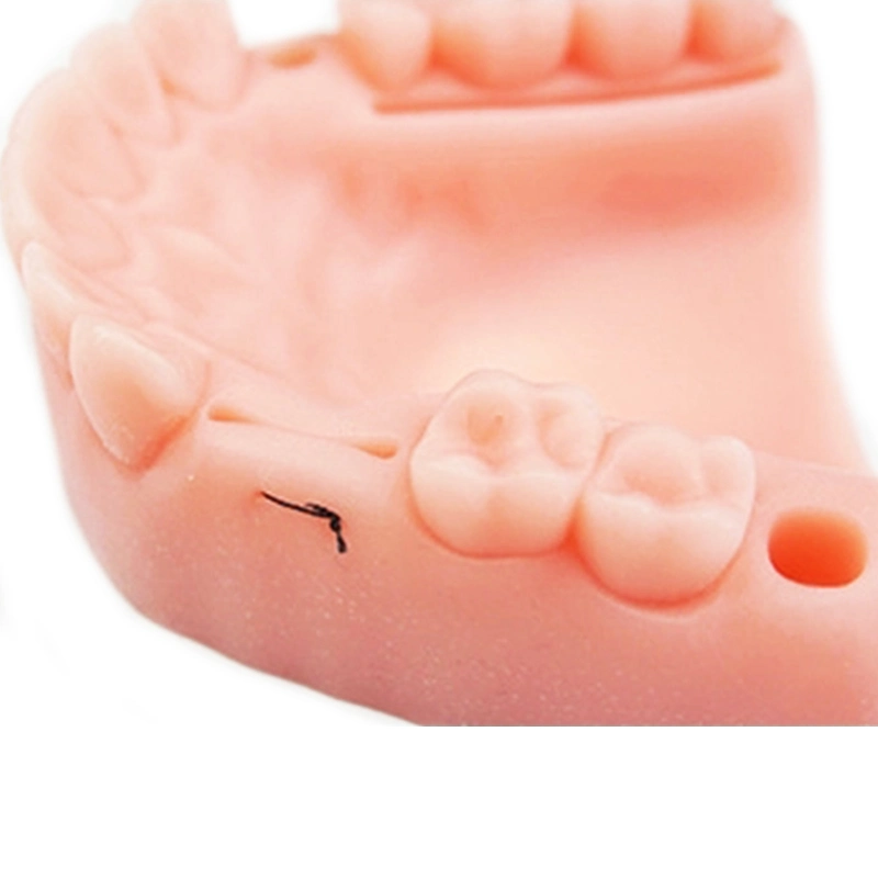 Medical Training Dentist Suture Pad Practice Dental Suturing and Implants